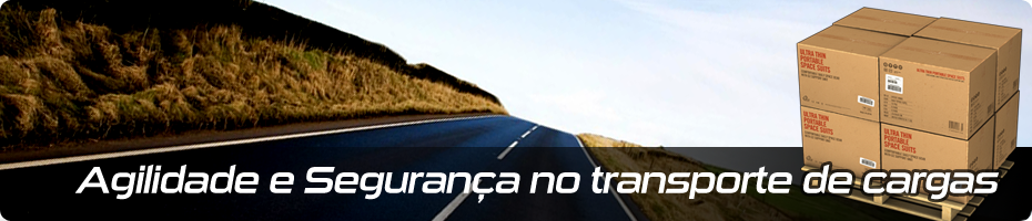 Viver Transportes