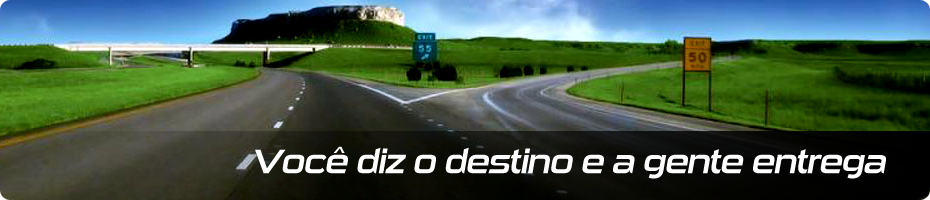Viver Transportes
